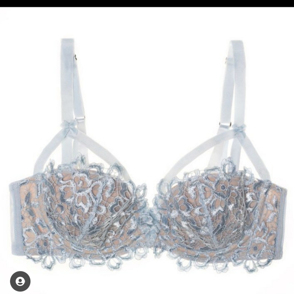 One Dita Von Teese Dahlia bra